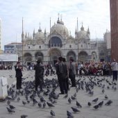  St Marks Basilica, Venice, Italy